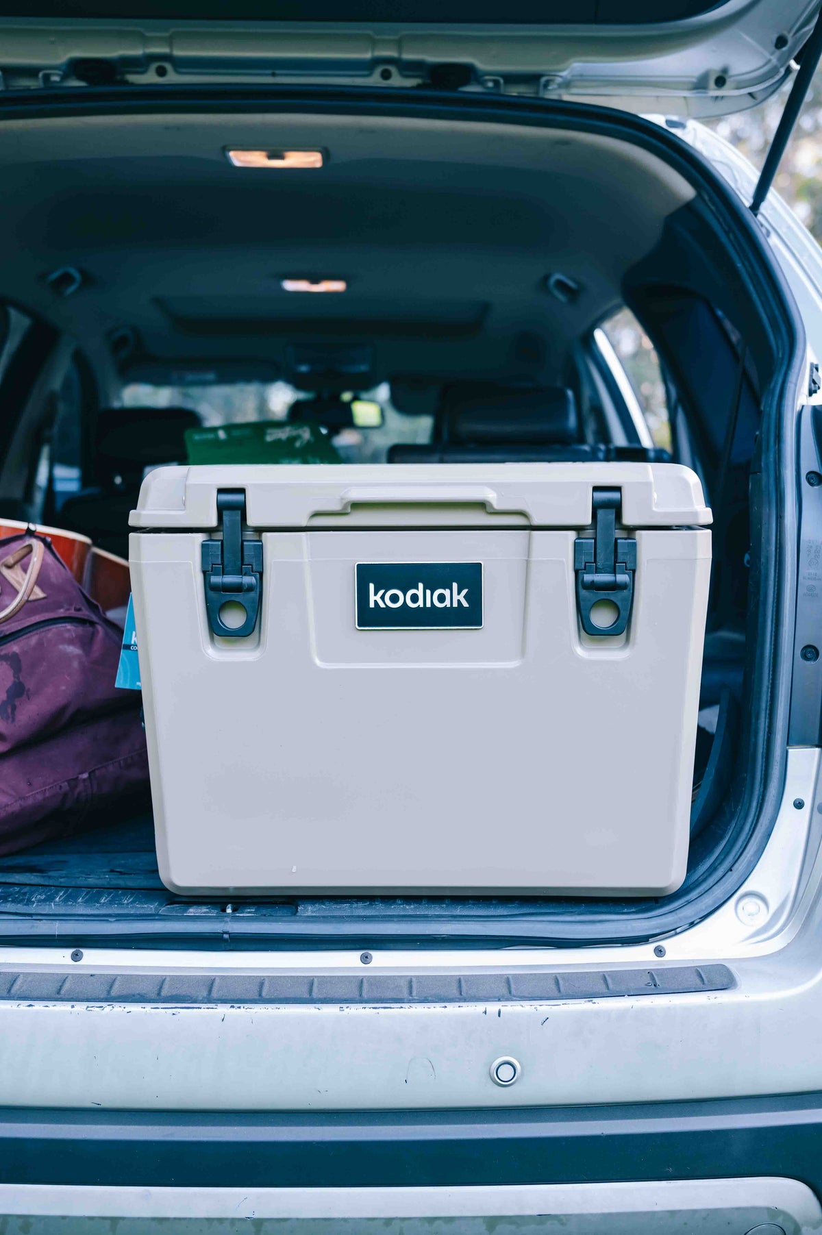 Best cooler for caravan trips